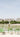 Paris how I do love thee - My ‘Go To's’ &amp; ‘Must Sees’ for the future Paris traveler.